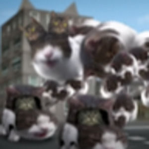 Meet your Posher, Benjamin